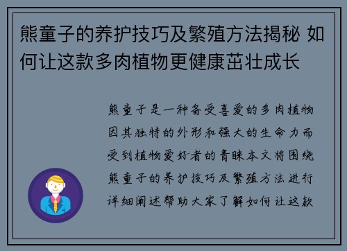 熊童子的养护技巧及繁殖方法揭秘 如何让这款多肉植物更健康茁壮成长
